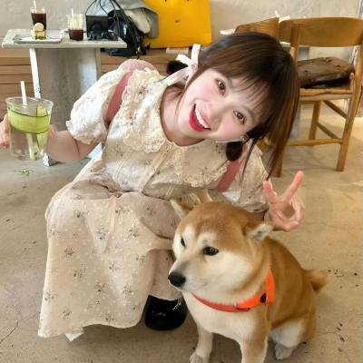 邻家诗话第四季